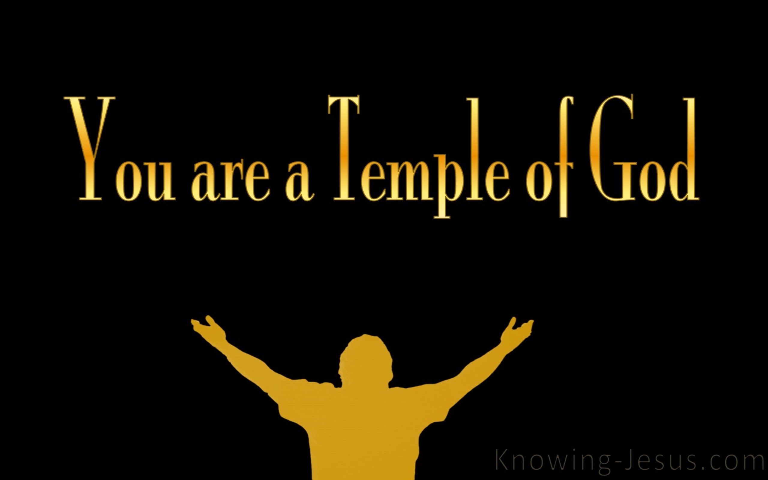 1 Corinthians 3:16 Temple Of The Holy Spirit (black)
